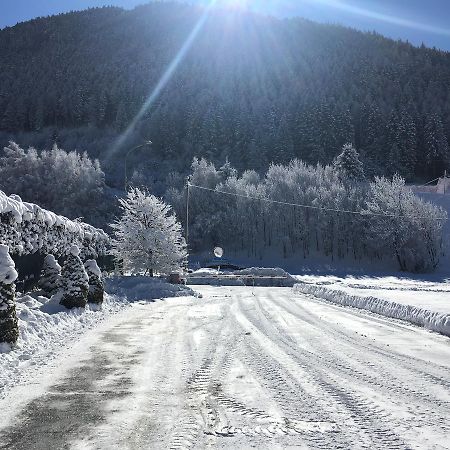 Residenza Eleonora Daire Temù Dış mekan fotoğraf